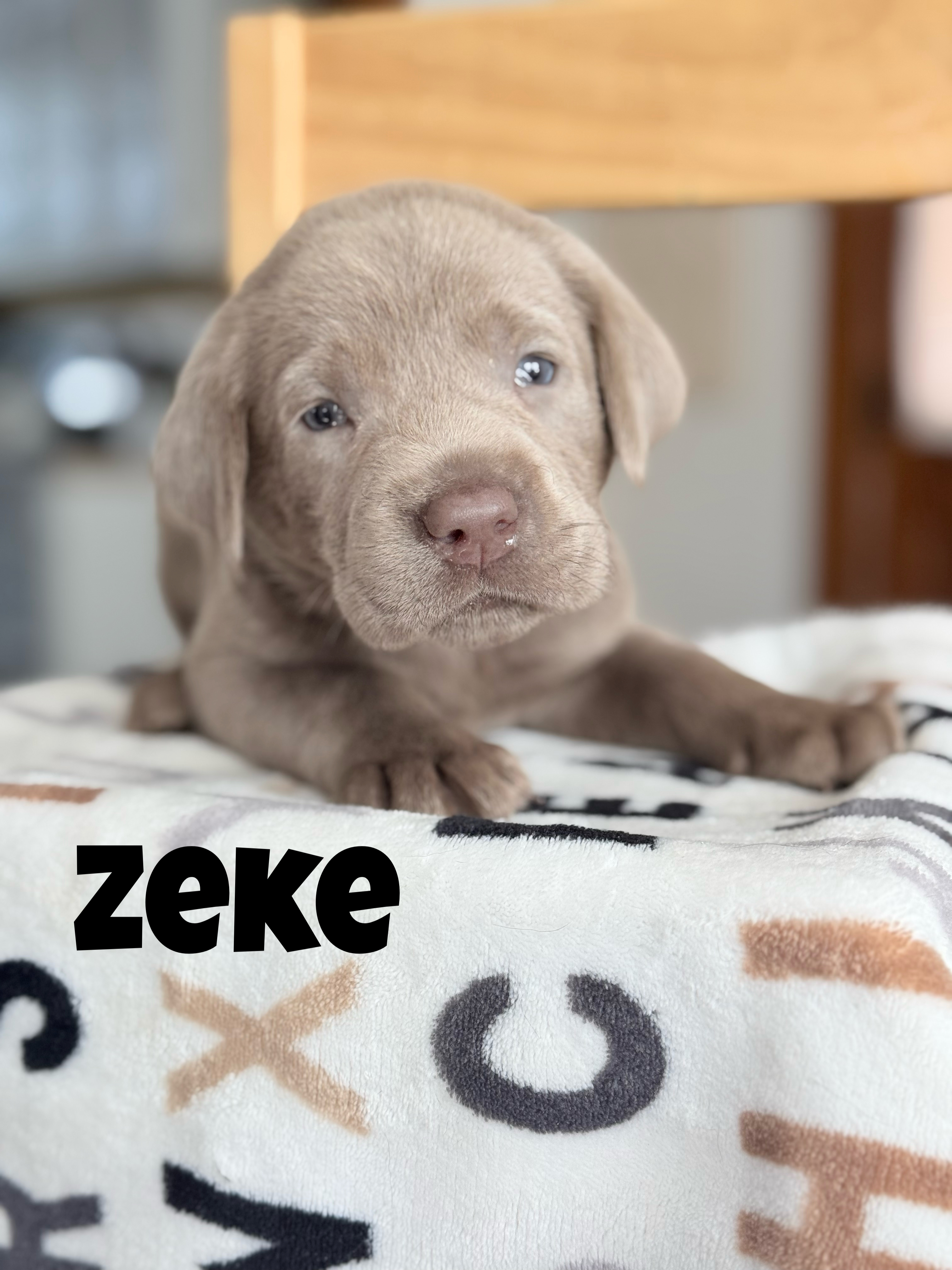 Zeke 1